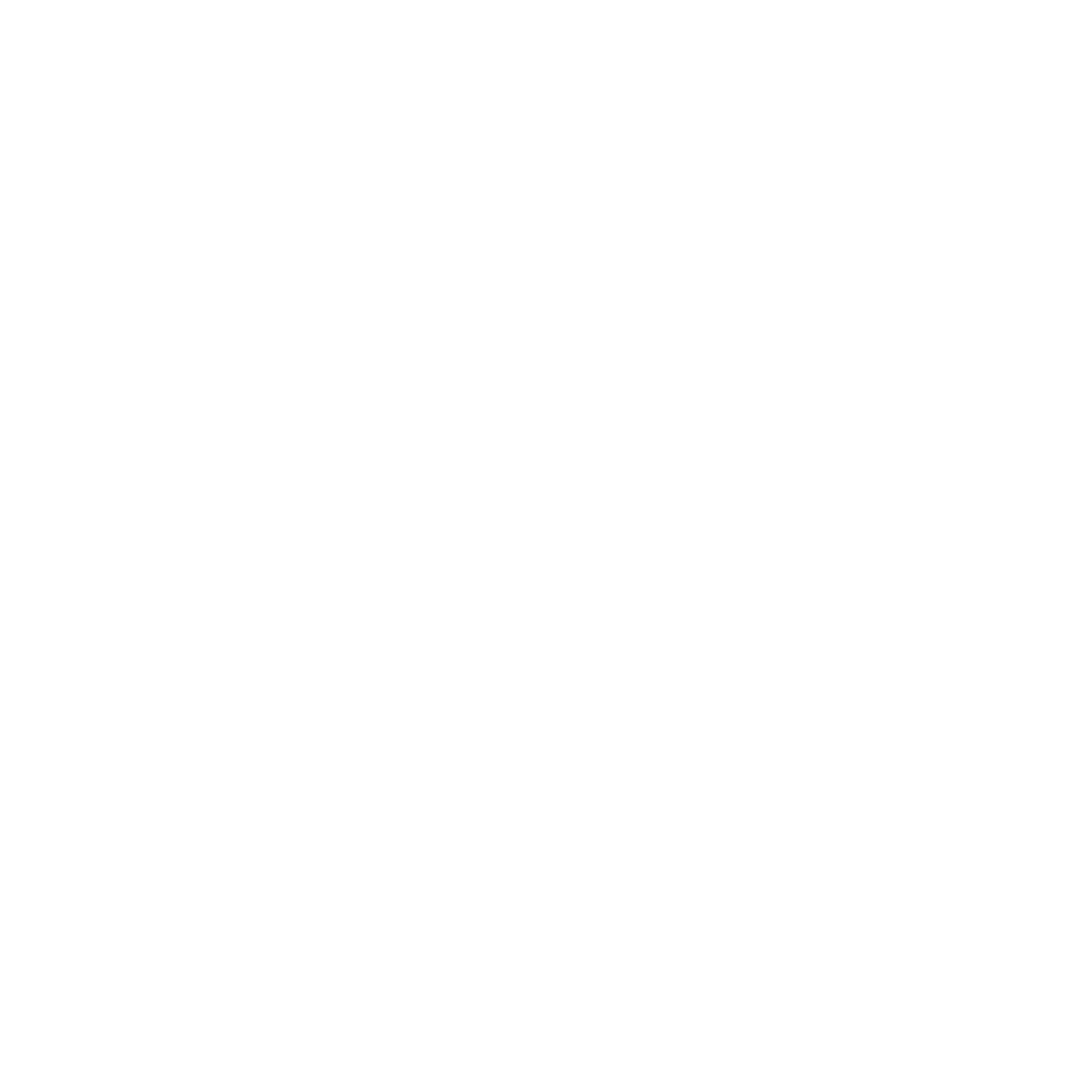 Brehmer Fotografia